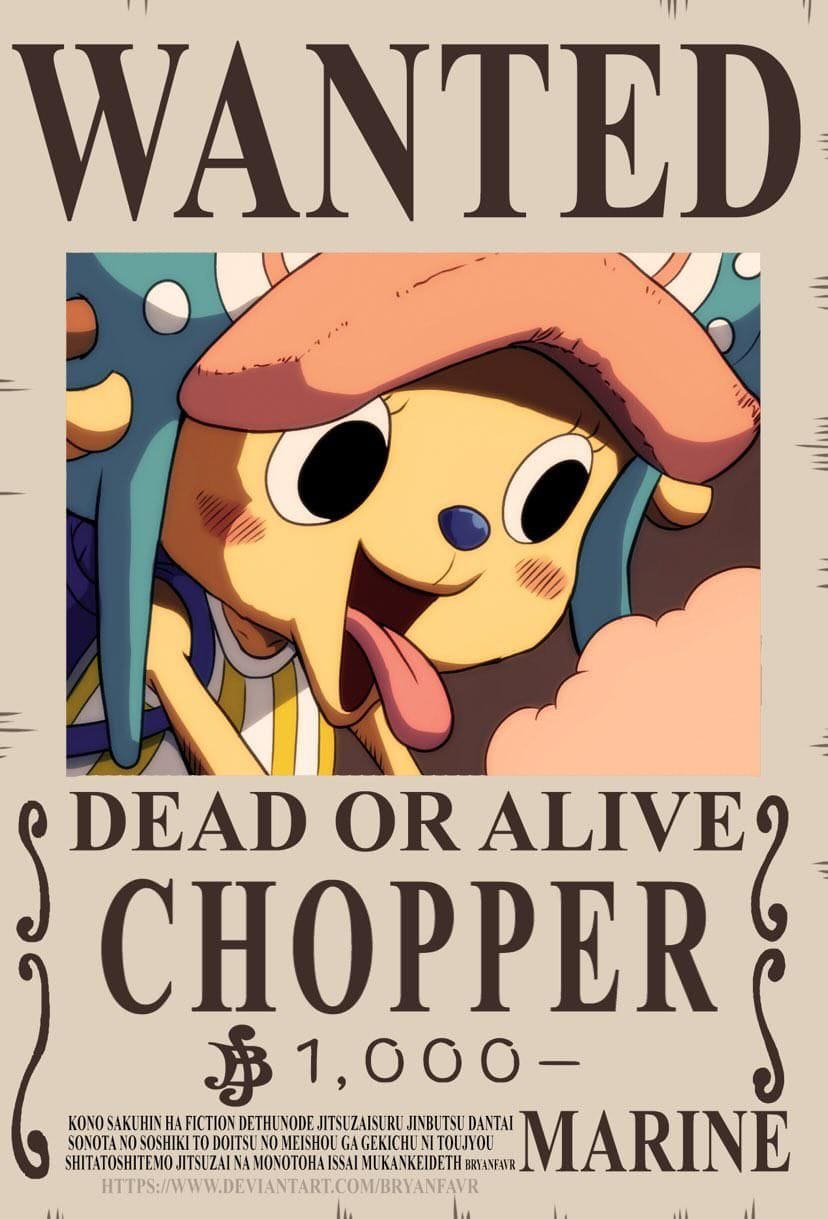 anime.one piece