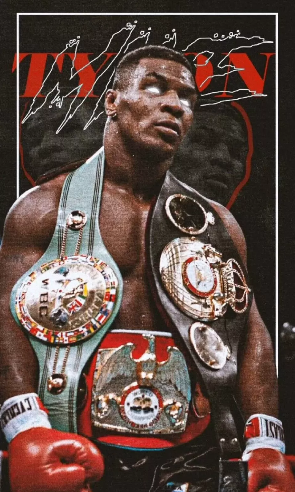 Mike Tyson The Beast Flags | Iconic Boxing Champion Wall Banner Collection | eBay