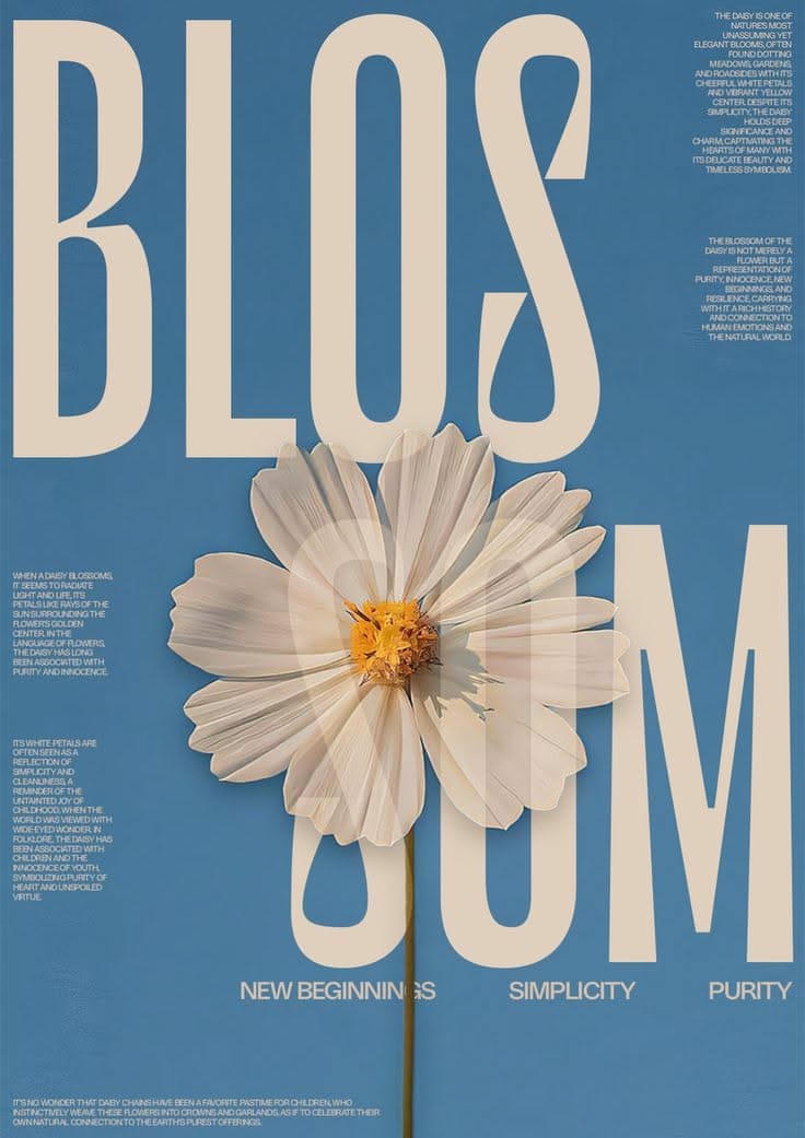 Blossom Poster Poster WallArt Canvas Fashionstation 2705 266