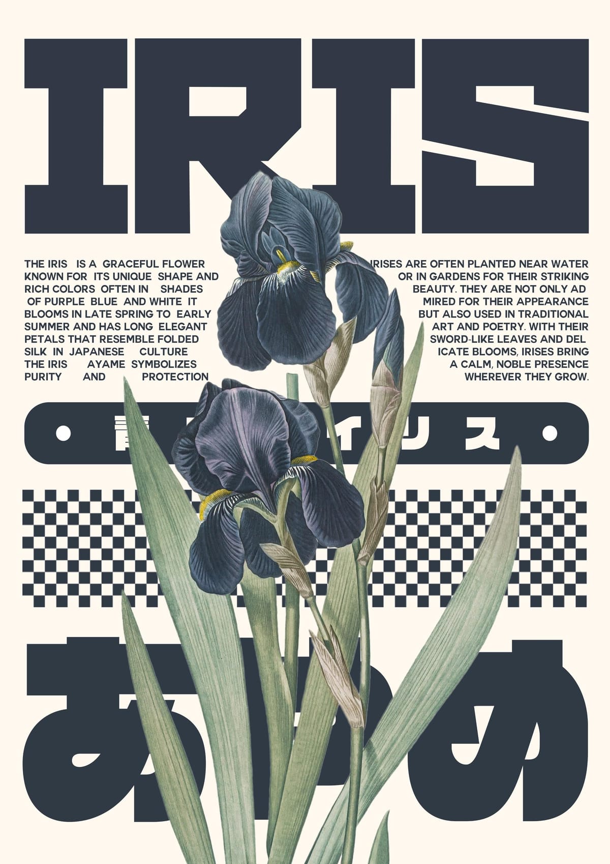 Iris flower - A3 size