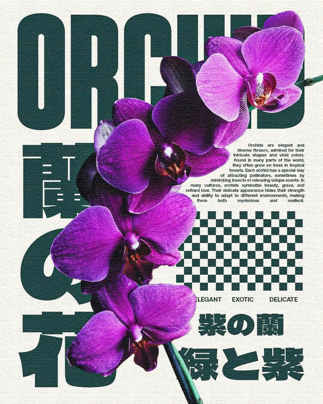 Orchid poster - original size 1350 x 1080