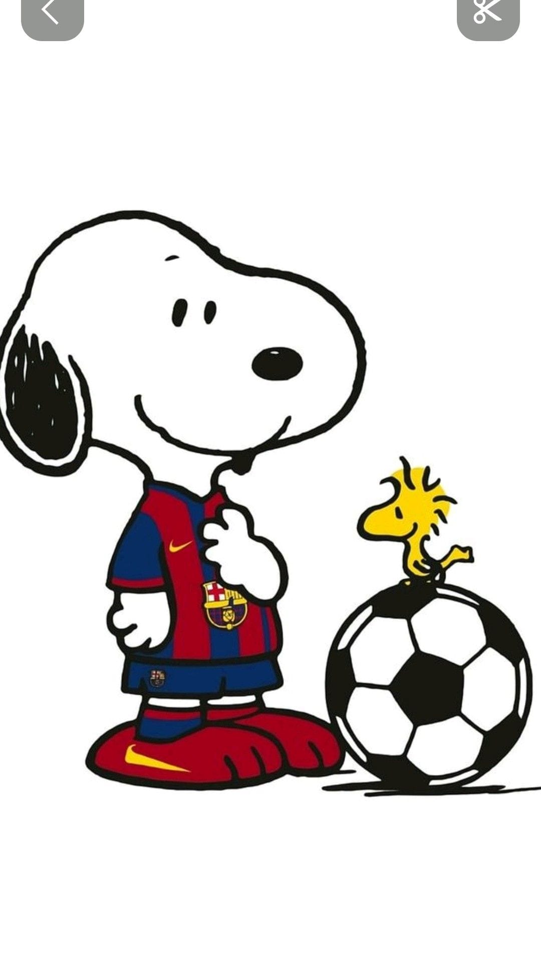 Barcelona,snoopy ,fútbol