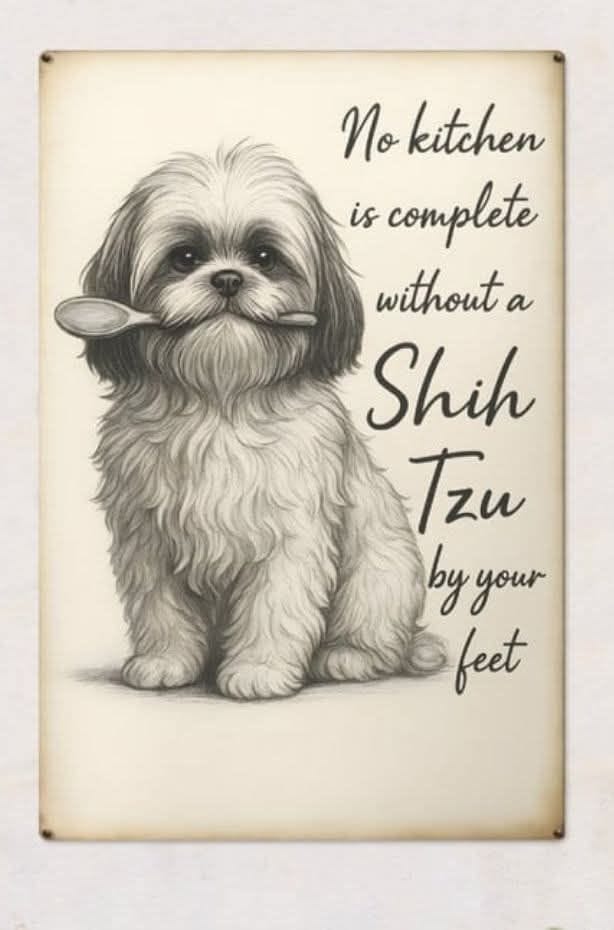 Shihtzu poster