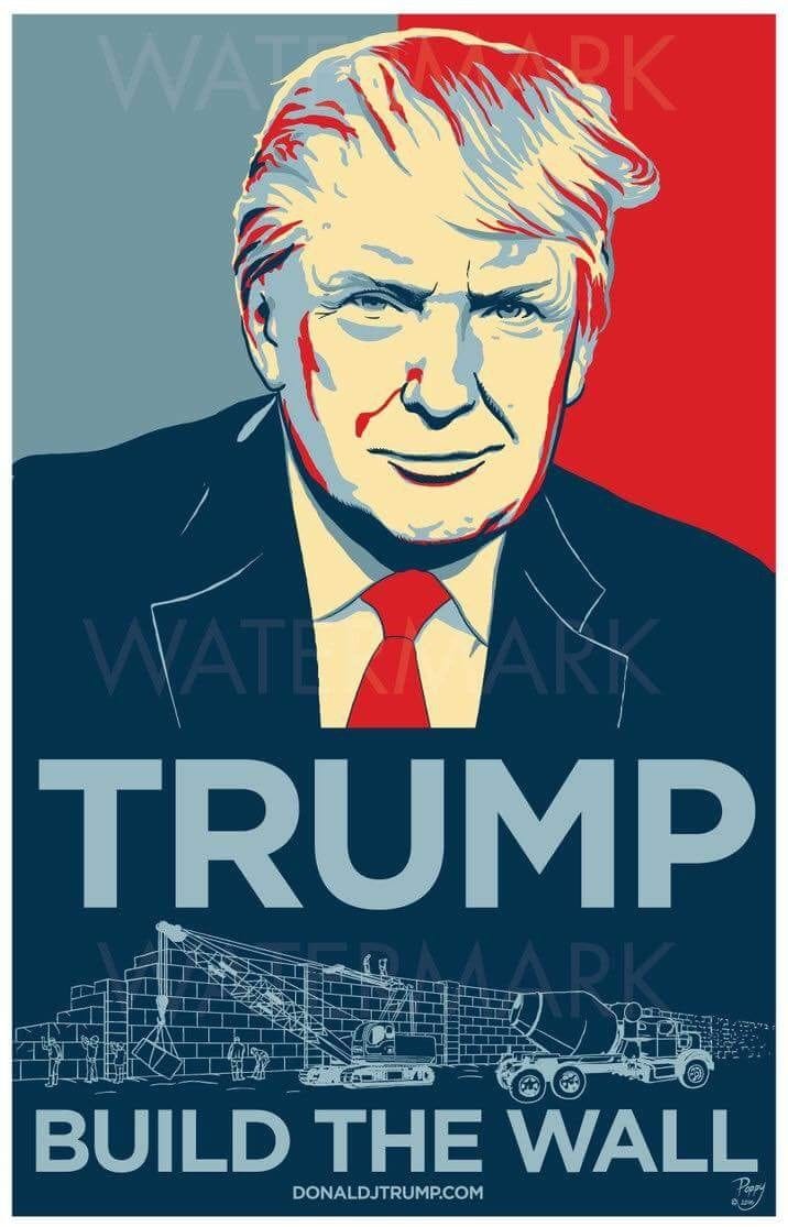 Donald Trump poster