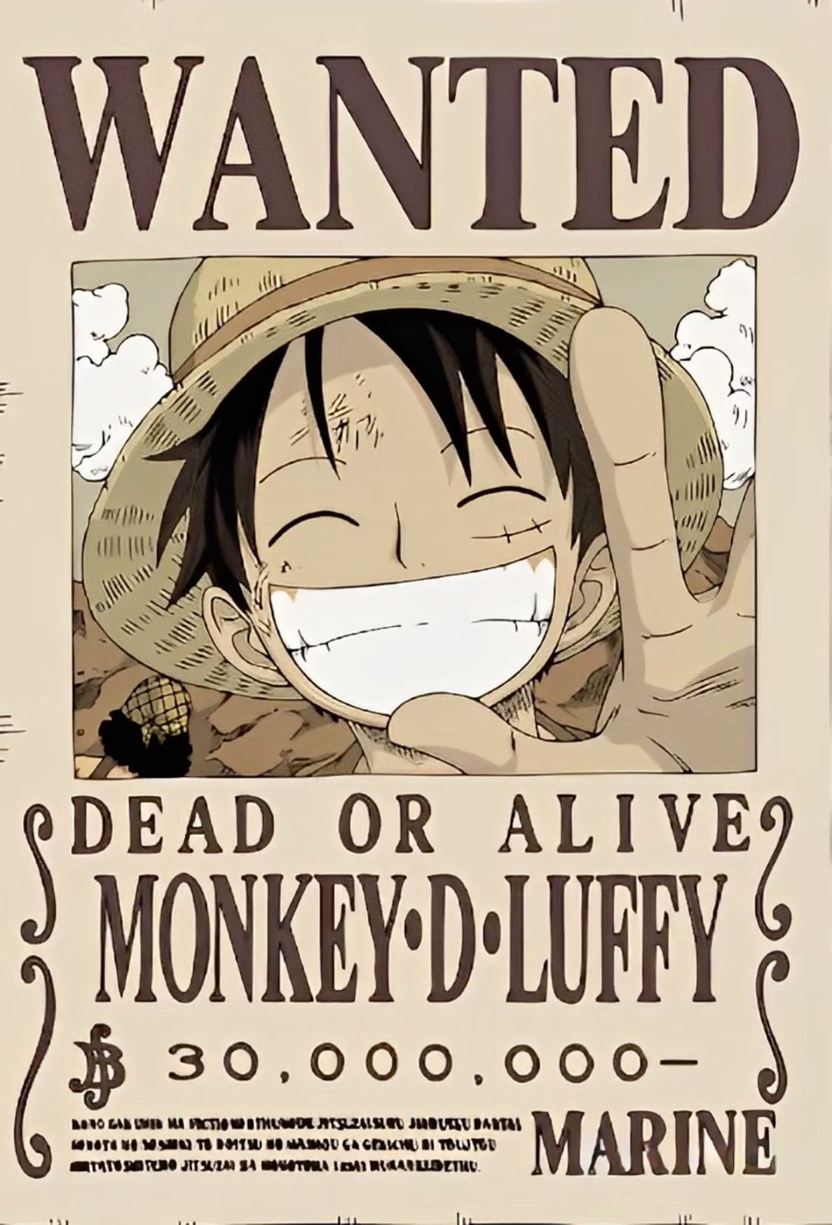 Monkey D. Luffy Poster