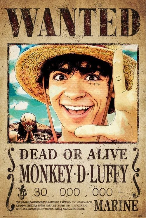 Monkey D Luffy one piece live action bounty poster