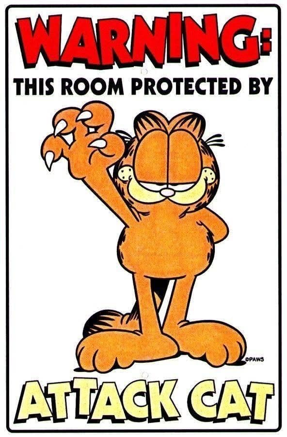 Garfield poster