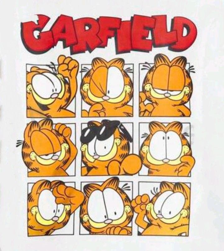 Garfield poster