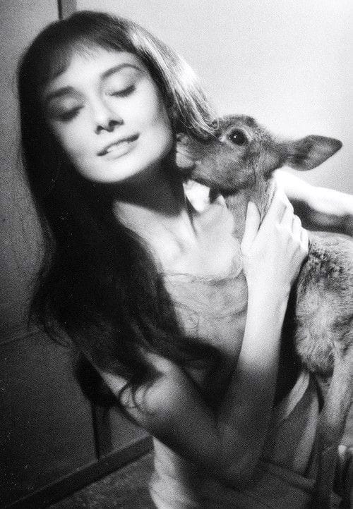 Audrey Hepburn poster