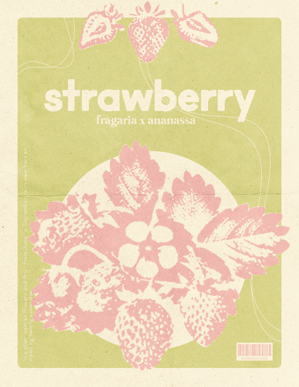 Strawberry Poster