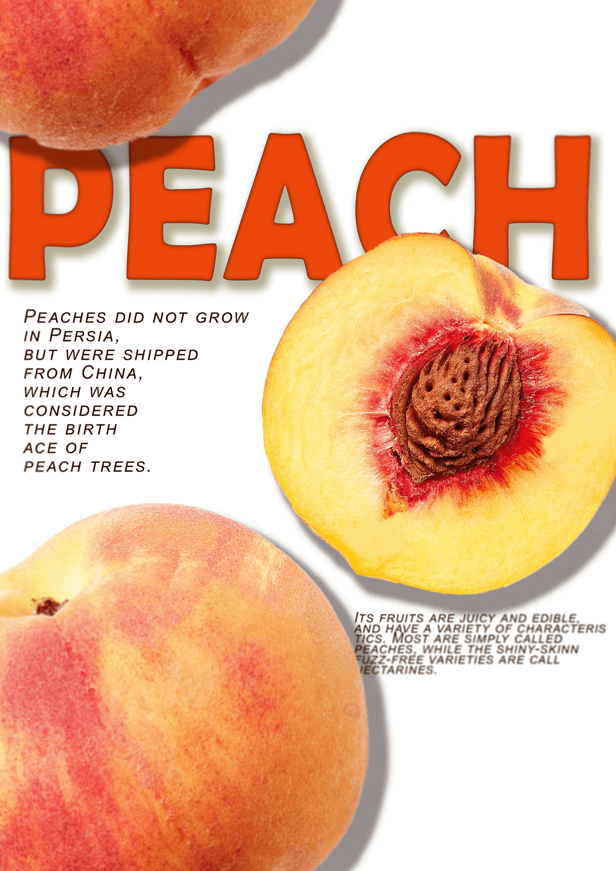 Poster "PEACH"
