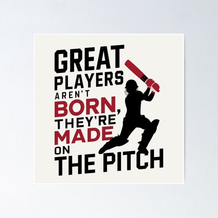 Cricket poster