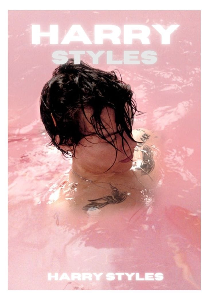 harry styles hs1 poster