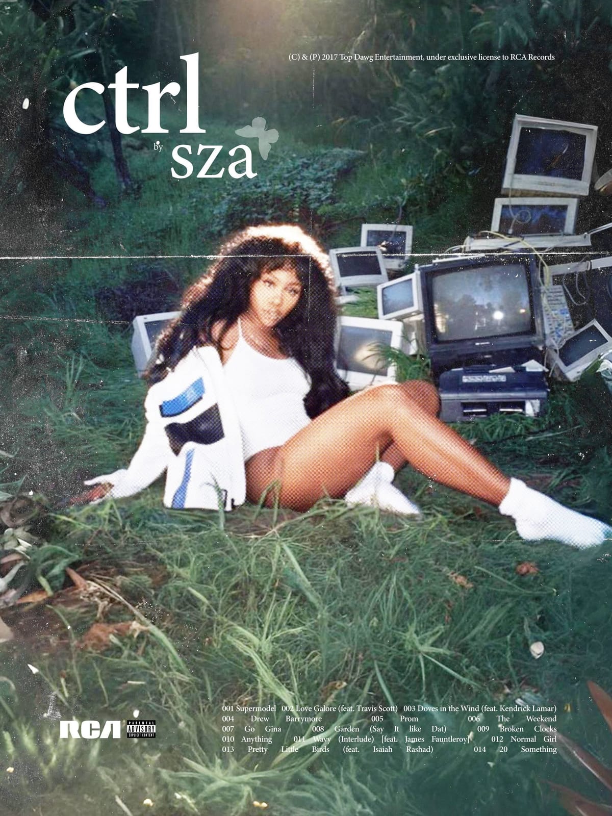 Fan poster for album 'ctrl' by SZA
