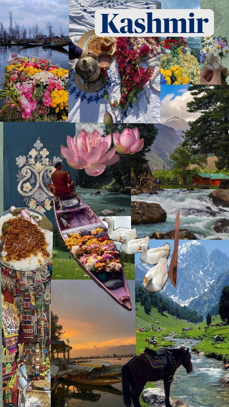 Kashmir🪷🌻