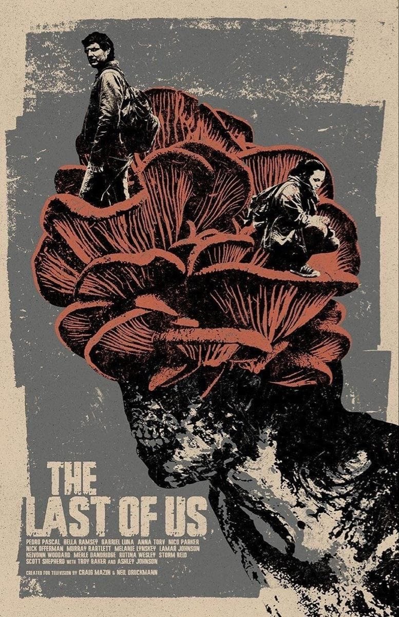 Last of Us poster