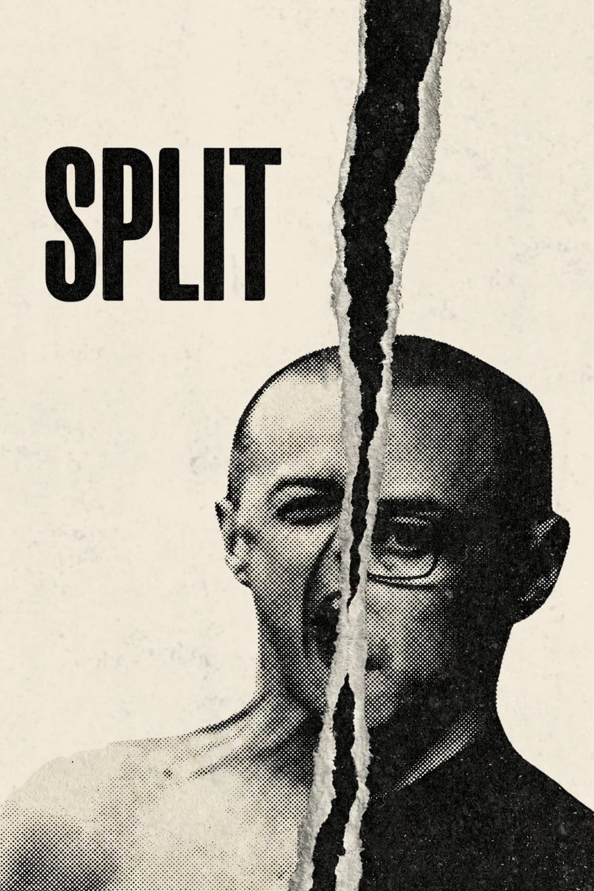 Split (2016) Custom Movie Poster James McAvoy Alternative Art