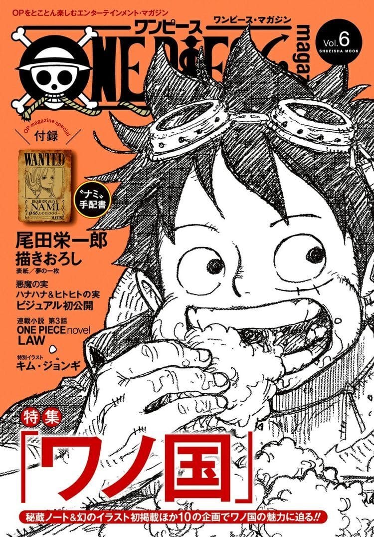 Luffy poster