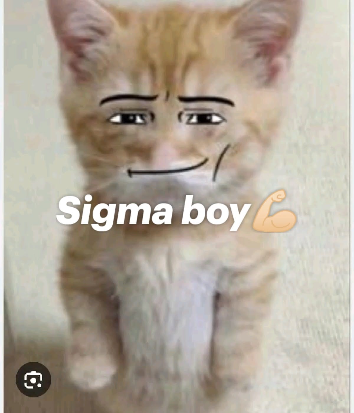 Sigma boy💪🏻