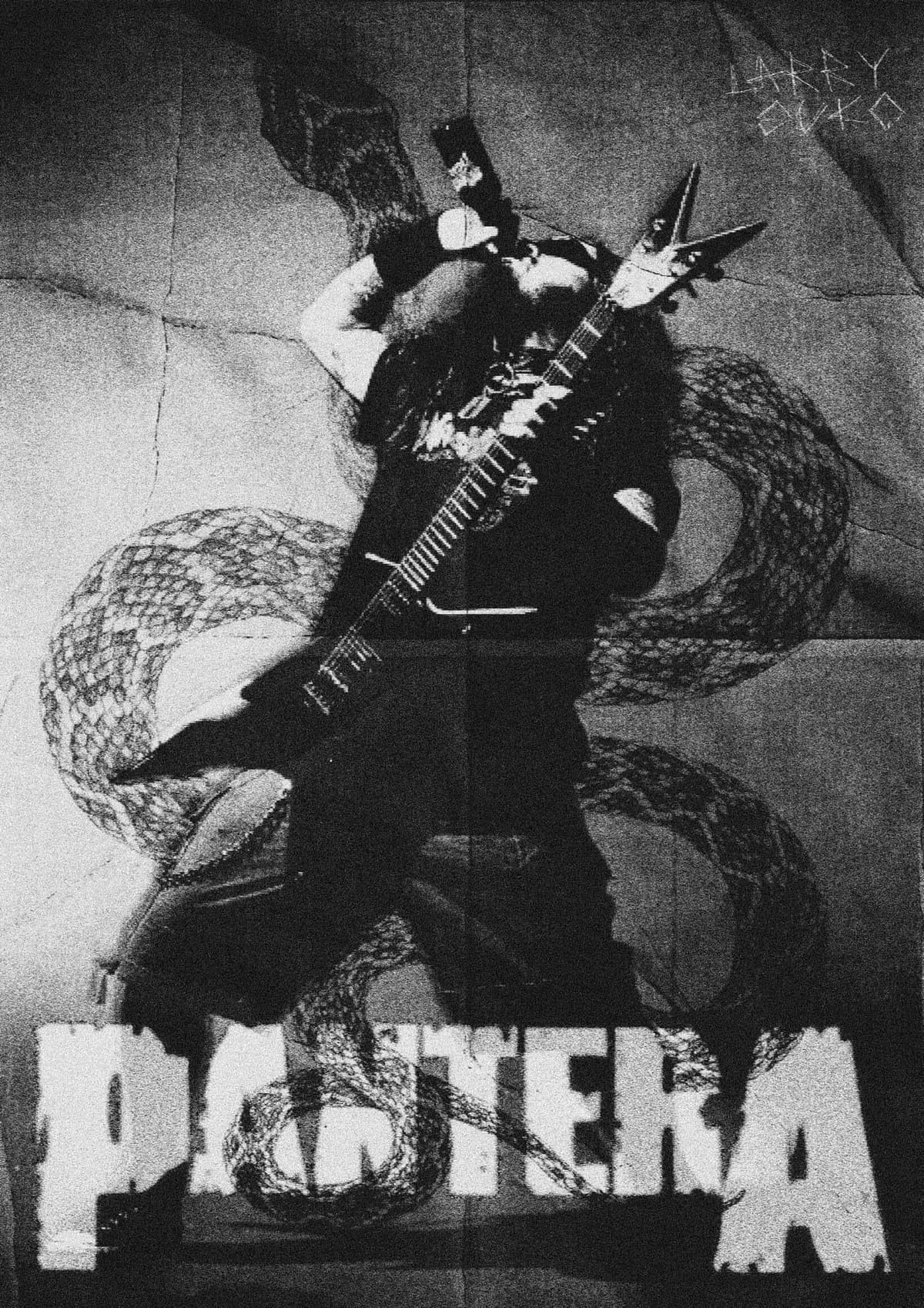 PANTERA POSTER