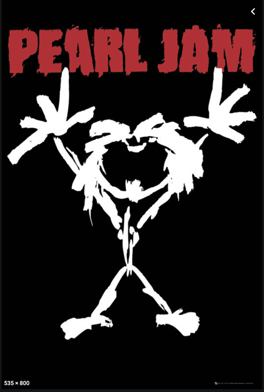 Pearl Jam poster