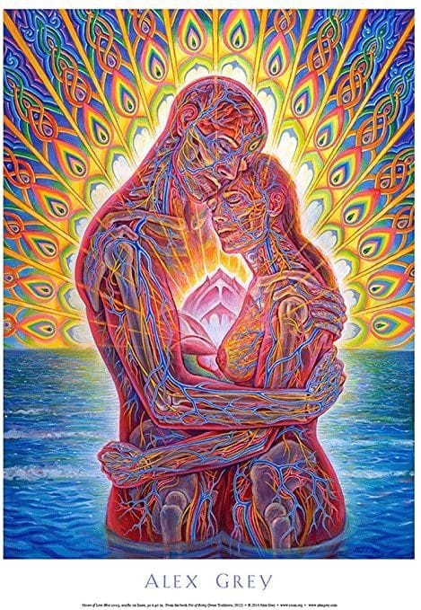 Alex Grey poster