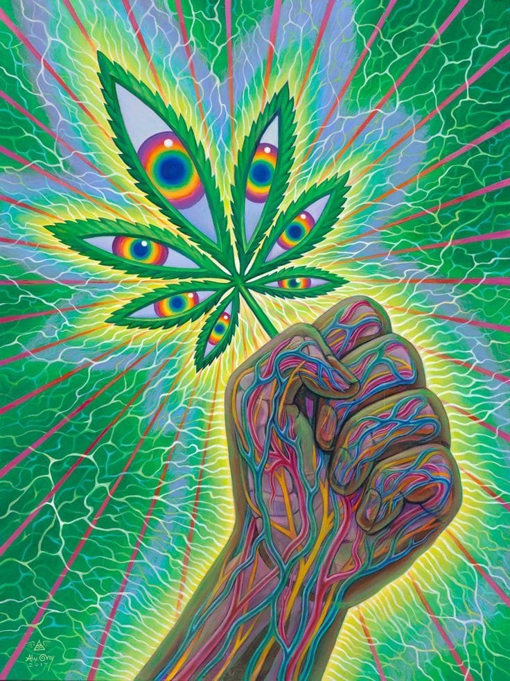 Alex Grey poster