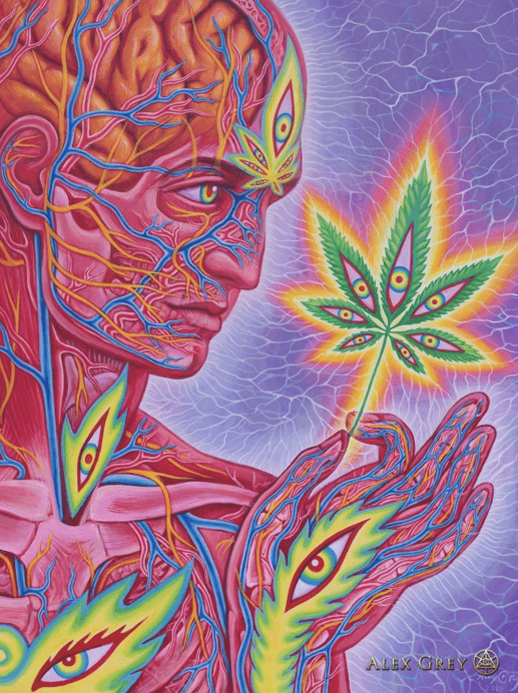Alex Grey poster