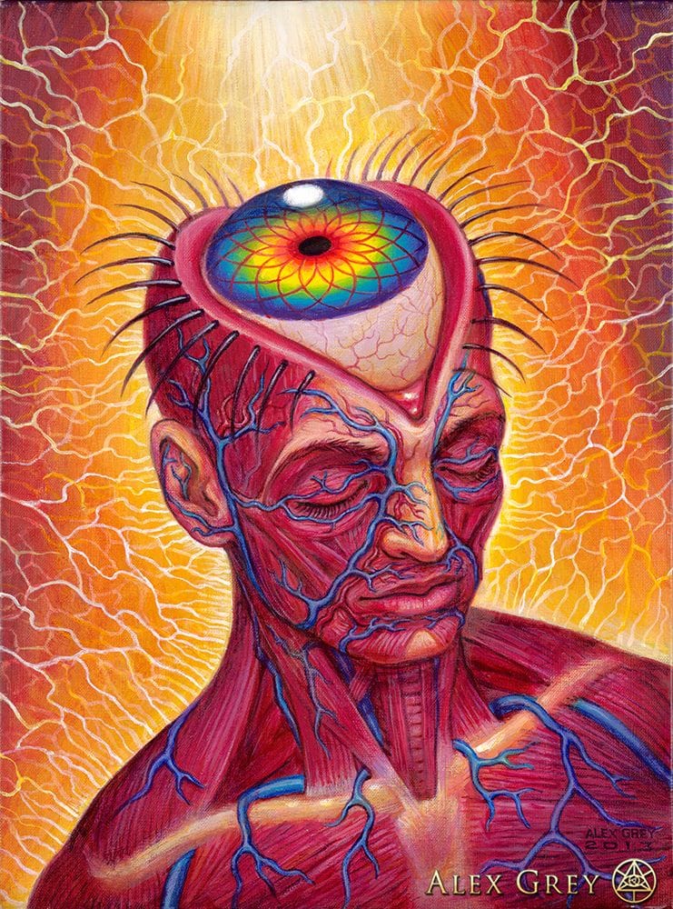 Alex Grey poster