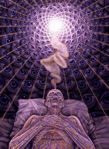 Alex Grey poster