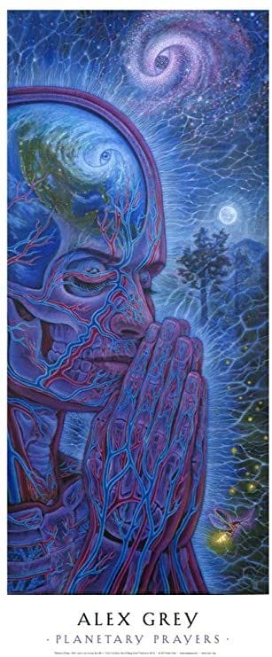 Alex Grey poster