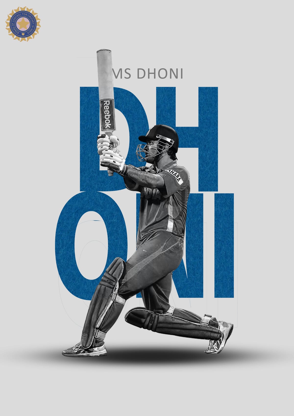 ms dhoni poster