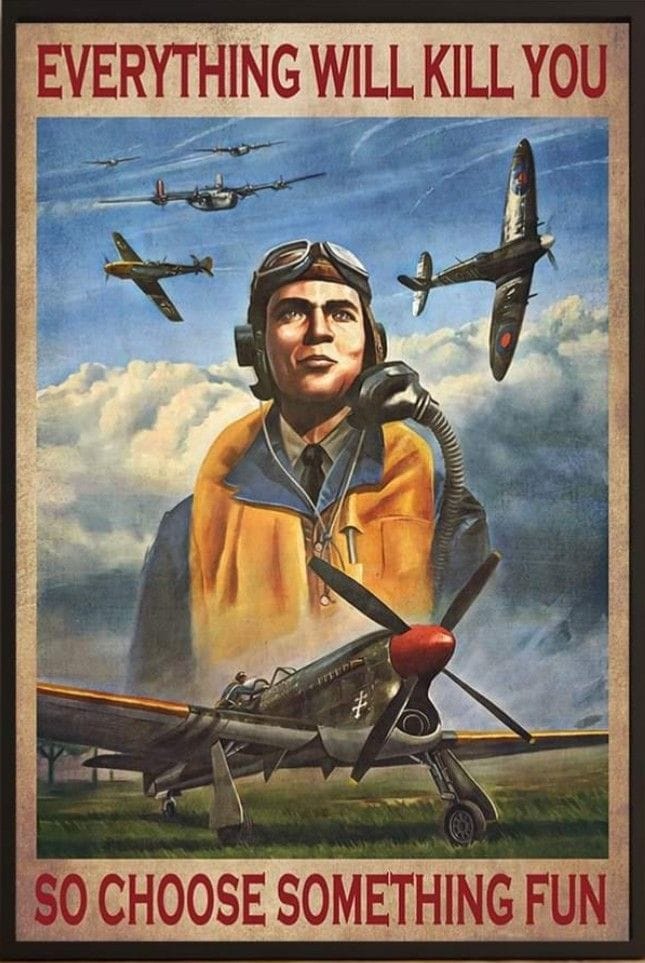 Pilot poster