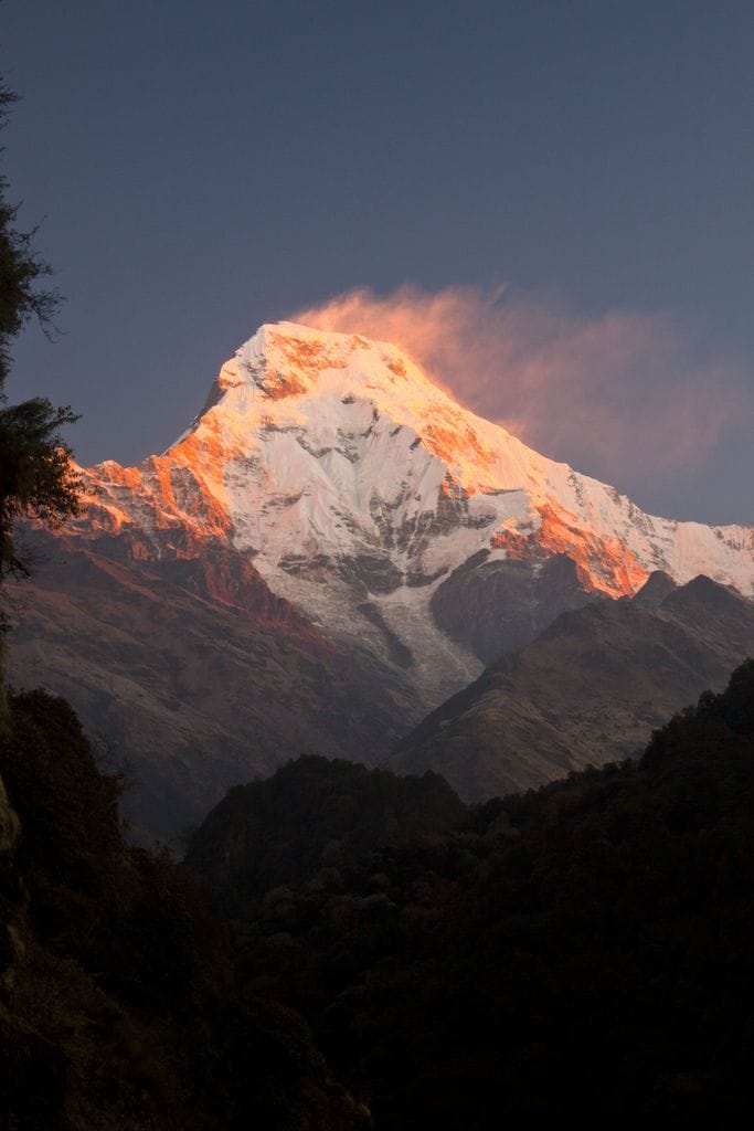 Annapurna poster