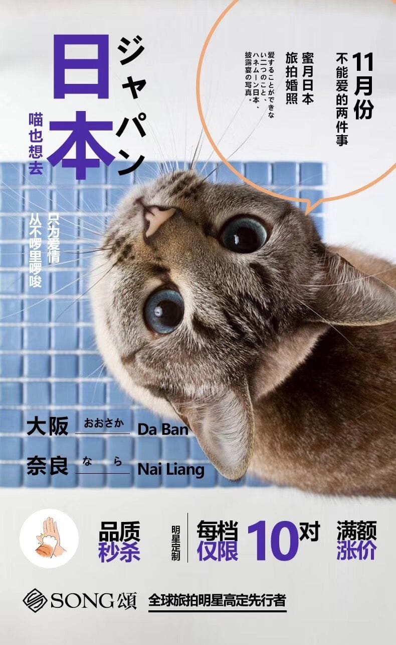 Cat poster