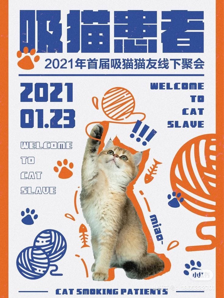 Cat poster