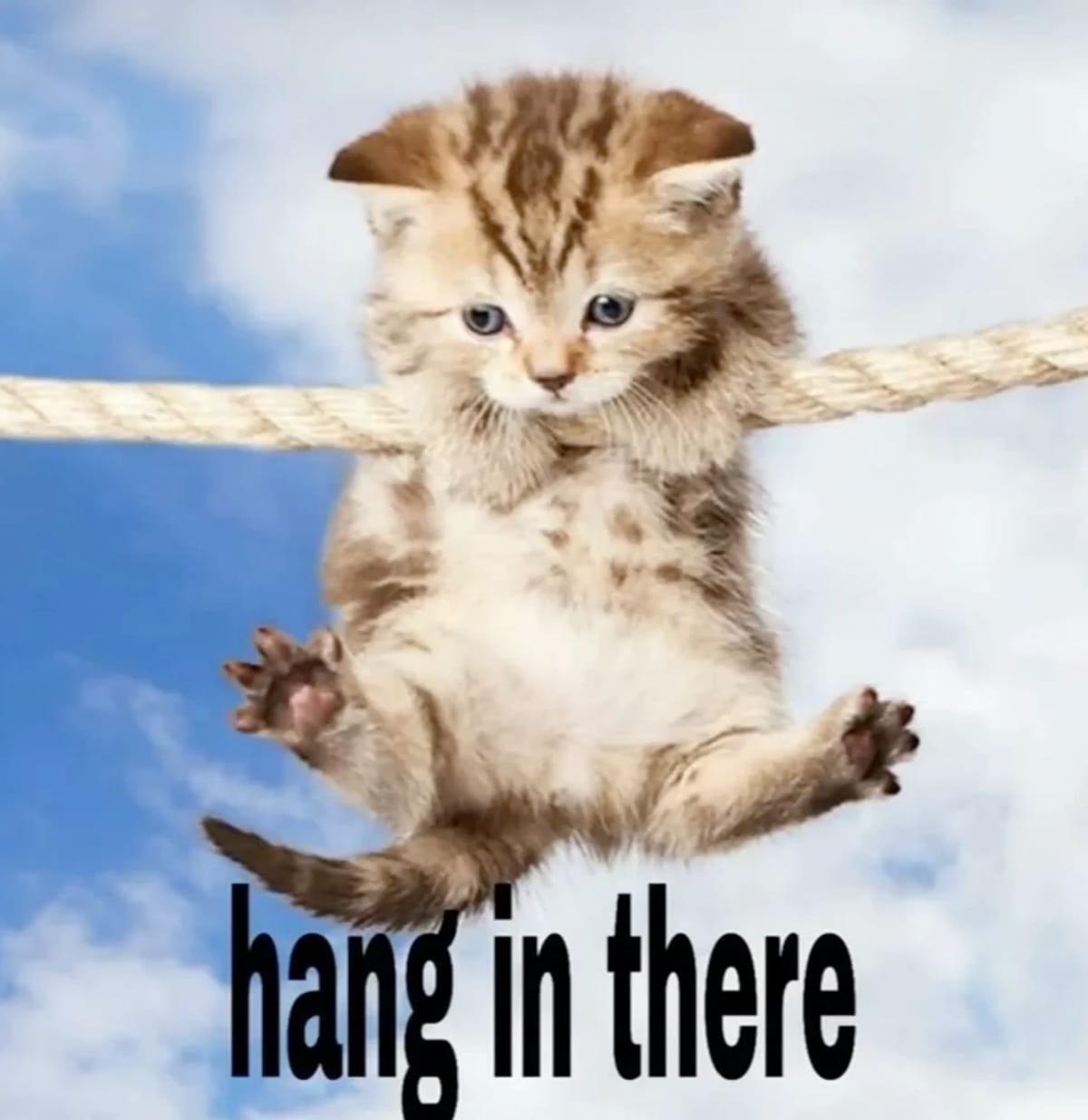 hang in there vro, I believe in you