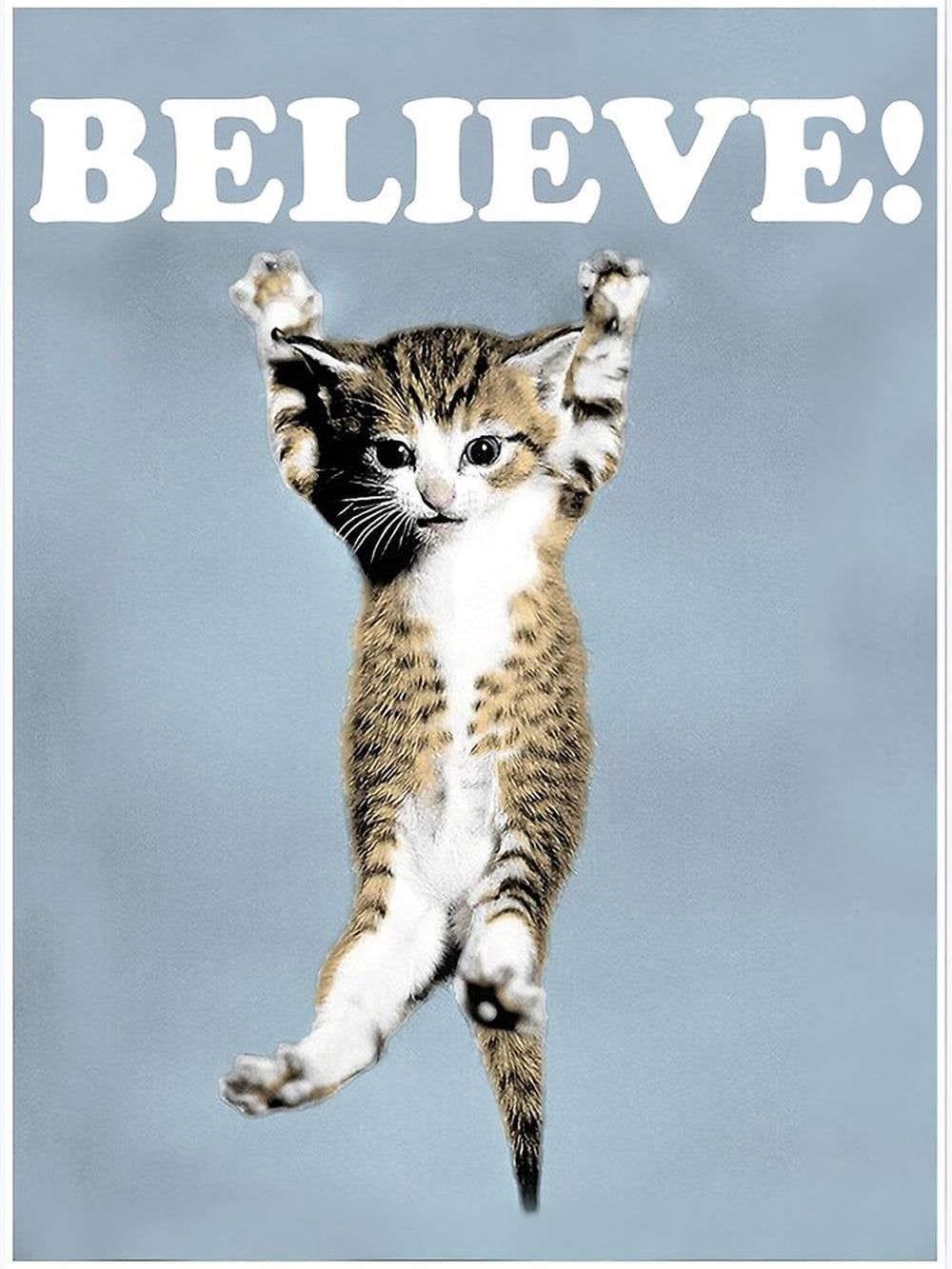 Believe Cat Poster for Home Decor Gift Premium Matte Vertical Poster for Home Decor Gift