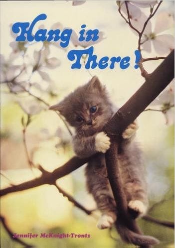 Cat poster