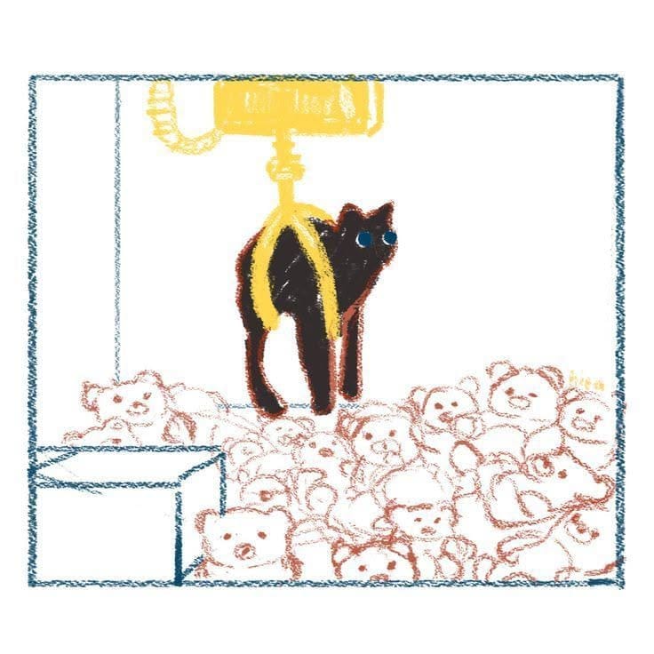 Cat poster