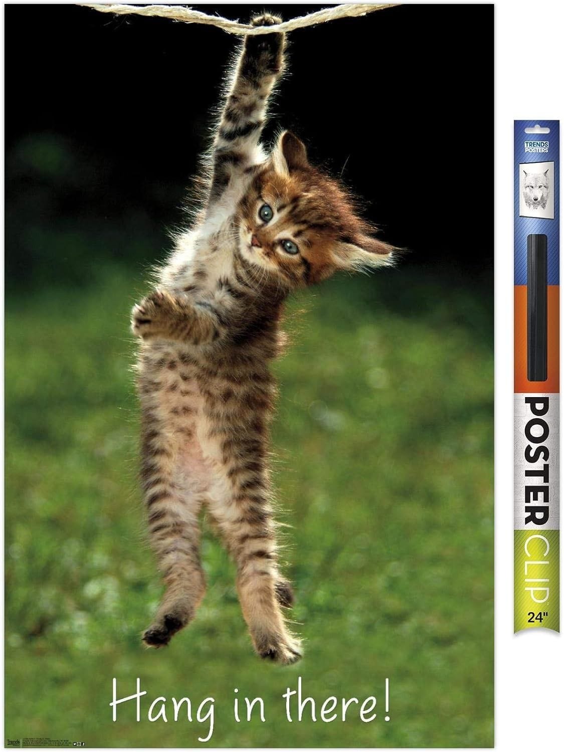 Cat poster