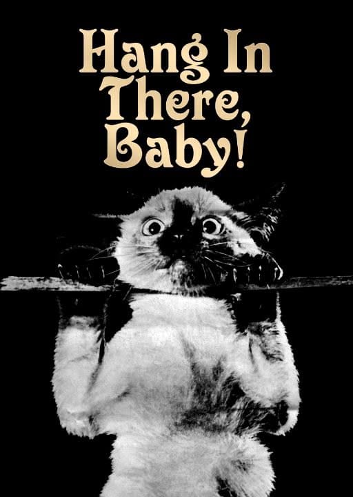 Hang In There Baby Cat Vintage Art - Cool Posters For All