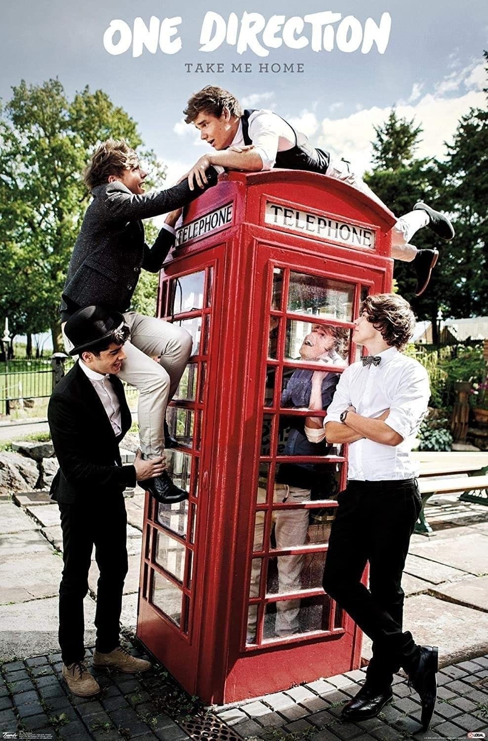 "One Direction \"Take Me Home\" 11x17 2013 Color Tour Poster"
