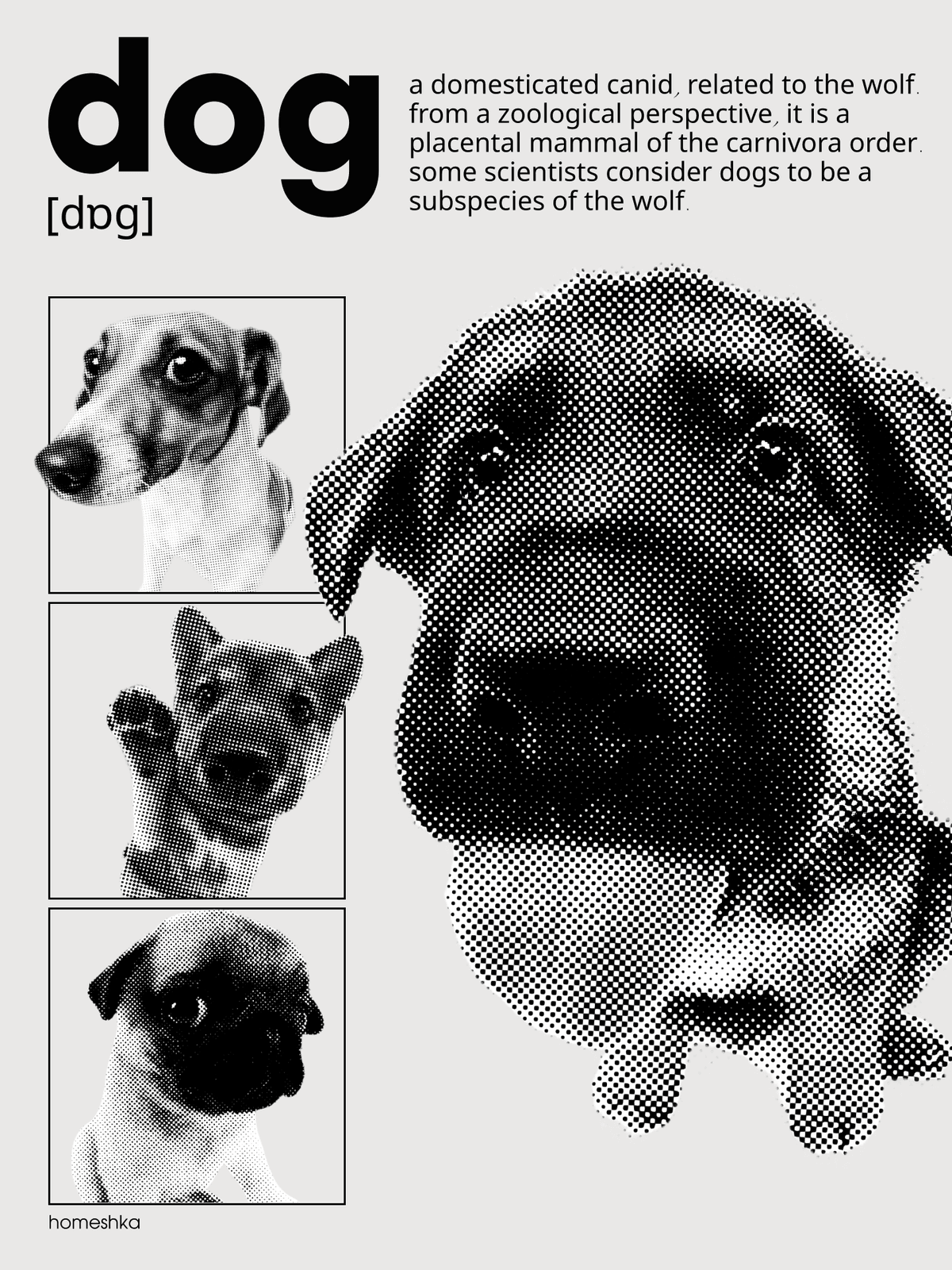 Dog | Постер | Design