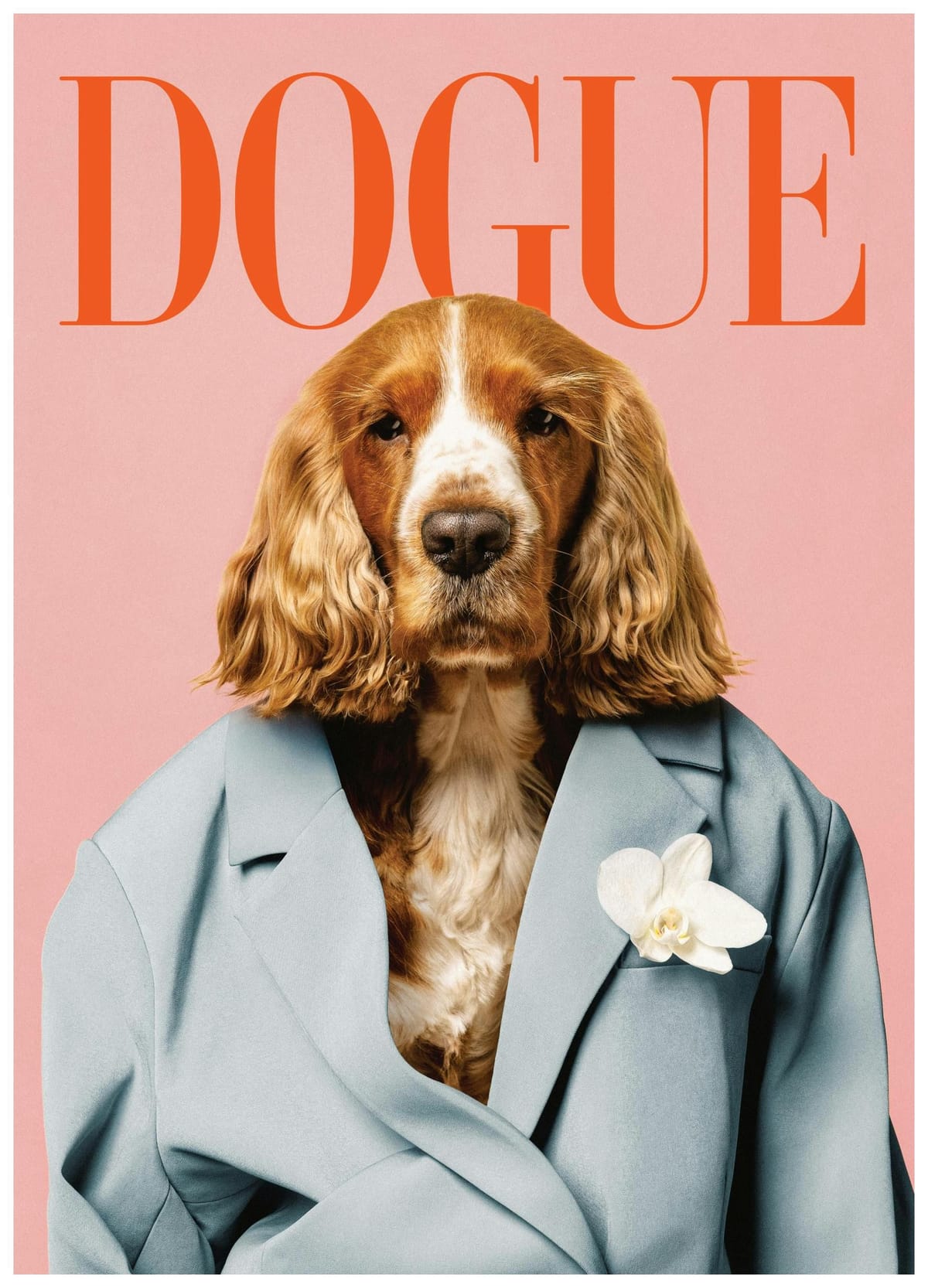 Dogue Print (12" x 16" in)
