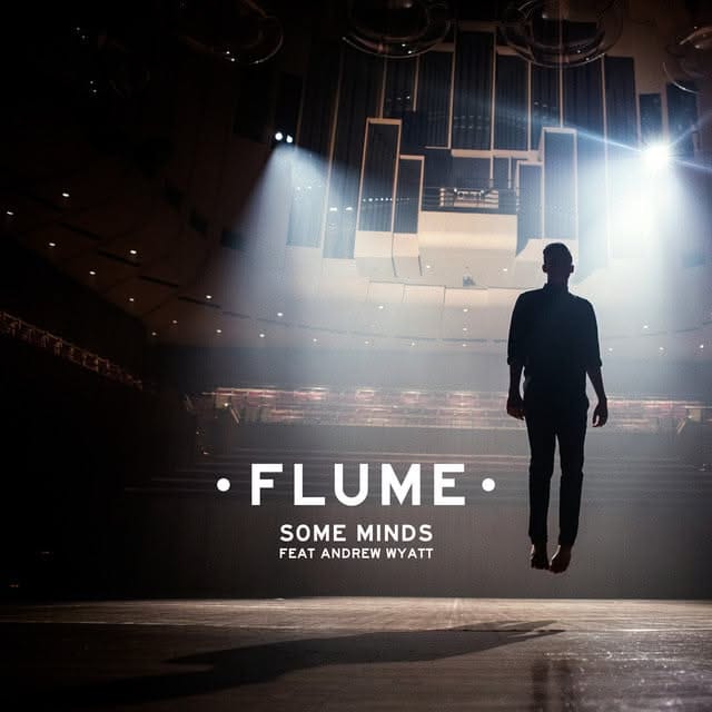 Flume - Some Minds (feat. Andrew Wyatt) 24 x 36 inch. Album Cover Poster