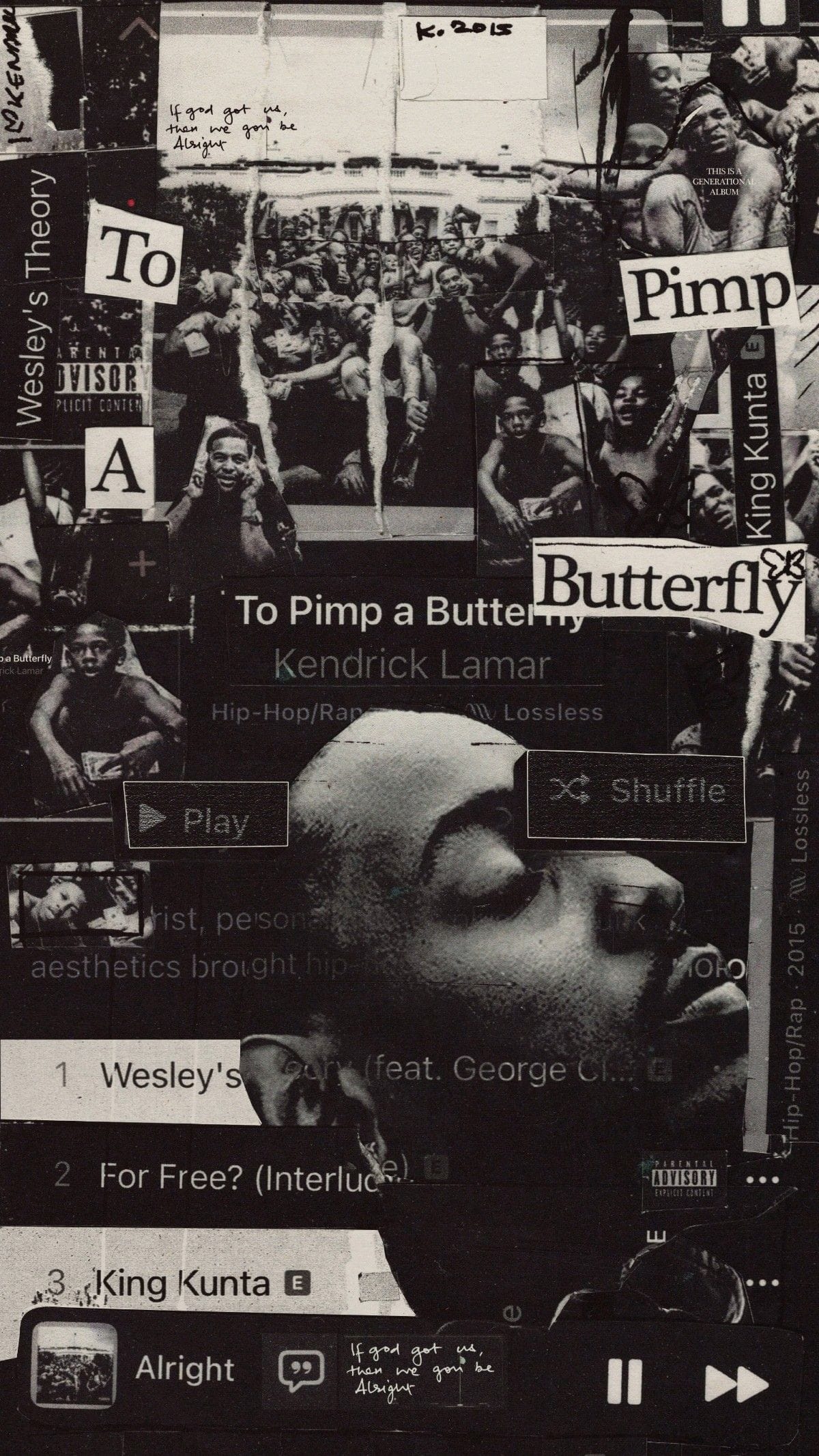 To pimp a butterfly