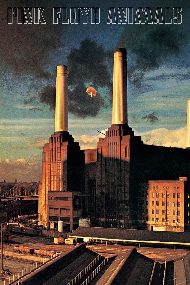 Pink Floyd - Animals Album Cover - Poster