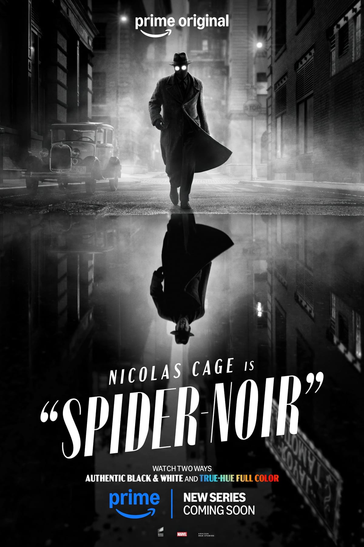 Spider Noir poster