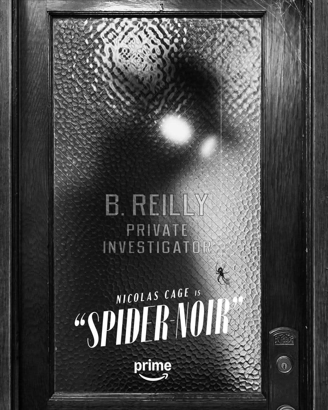 Spider Noir poster